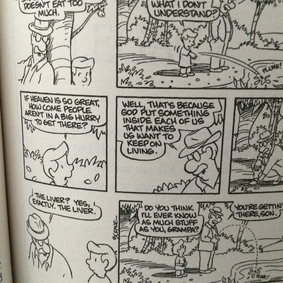 Chicken Soup For the Grandparent's Soul - Inspirational Gift - Picture 8 of 8